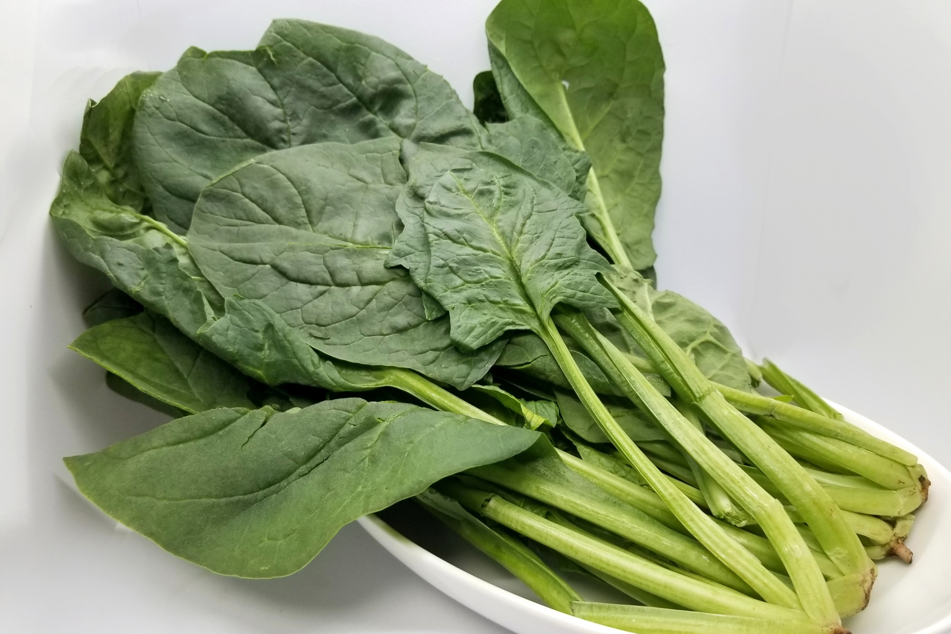 葉酸ってなに？？